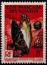 1962 - Côte des Somalis timbre n° 311 - Faune marine - Coquillage