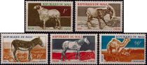 1969 - Mali timbres n° 124/128 - Faune - Animaux domestiques