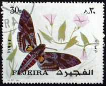 1972 - (UAE) Fujeira timbres PA n° 1326/1330 - Papillons