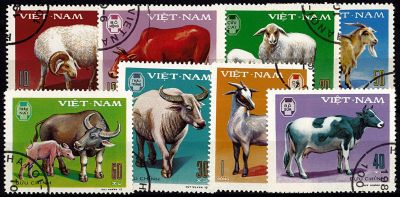 1979 - Vietnam n� 154/161 - Faune - Animaux domestiques