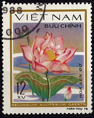 1980 - Vietnam 213/220 - Fleurs aquatiques (S�rie compl�te de timbres oblit�r�s)