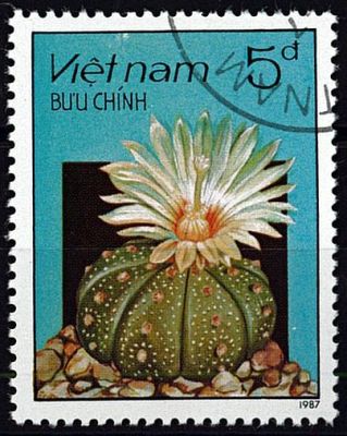 1987 - Vietnam 795/801 - Flore, Cactus en fleurs (S�rie compl�te de timbres oblit�r�s)