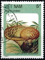 1987 - Vietnam 848/854 - Champignons (Série complète de timbres oblitérés)