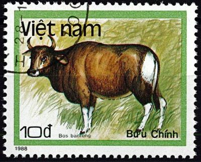 1988 - Vietnam 876/882 - Faune, Animaux prot�g�s (S�rie compl�te de timbres oblit�r�s)