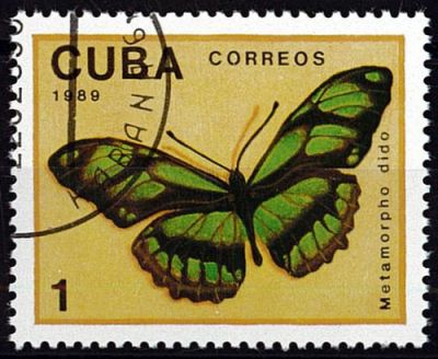 1989 - Cuba timbres n� 2914/2919 - Papillons