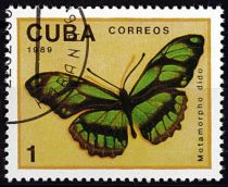 1989 - Cuba timbres n° 2914/2919 - Papillons
