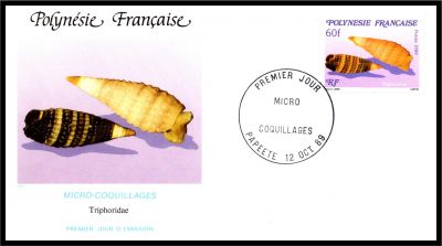 1989 - Polyn�sie Fran�aise 3 FDC n� 343/345 - Faune marine - Coquillages