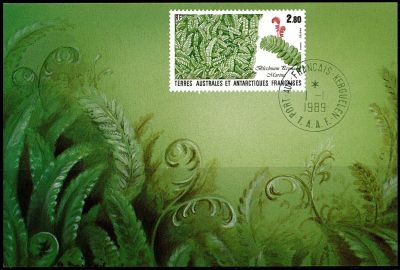 1989 - T.A.A.F. carte maximum n� 143 - Flore - Foug�re