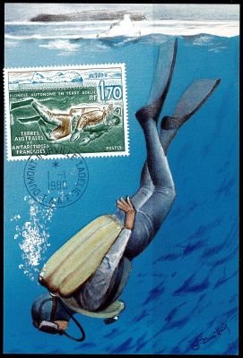 1989 - T.A.A.F. carte maximum n� 146 - Plong�e autonome en Terre Ad�lie