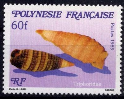 1989 - Timbres Polyn�sie 343-345 - Faune marine, microcoquillage