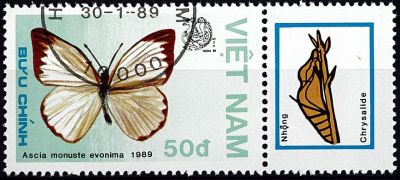 1989 - Vietnam 949/955 - Papillons, exposition philat�lique mondiale � New Delhi