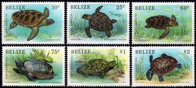 1990 - Belize Timbres n� 932/937 - Les Tortues