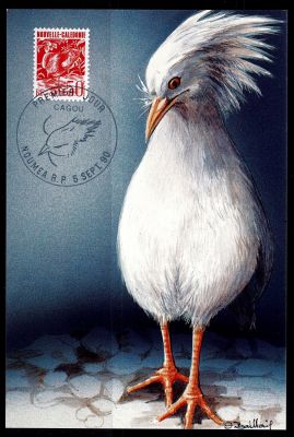 1990 - Nouvelle Cal�donie cartes maximum n� 588 - Oiseaux - Le cagou