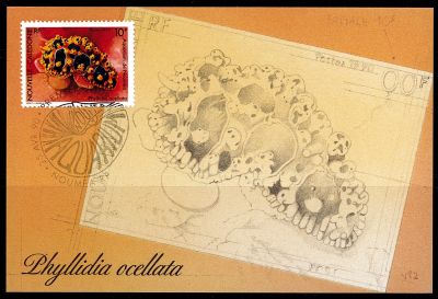 1990 - Nouvelle Cal�donie cartes maximum n� 594/595 - Faune marine - Aquarium de Noum�a