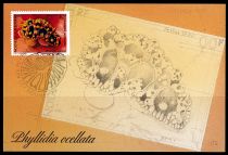 1990 - Nouvelle Calédonie cartes maximum n° 594/595 - Faune marine - Aquarium de Nouméa