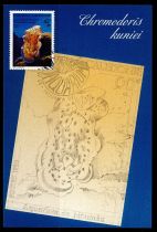 1990 - Nouvelle Calédonie cartes maximum n° 594/595 - Faune marine - Aquarium de Nouméa