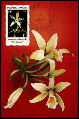 1990 - Polyn�sie Fran�aise cartes maximum n� 350-351 - Fruit - La vanille