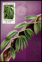 1990 - Polynésie Française cartes maximum n° 350-351 - Fruit - La vanille