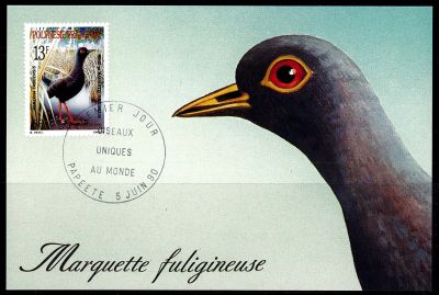 1990 - Polyn�sie Fran�aise cartes maximum n� 360-361 - Oiseaux uniques au monde (1)