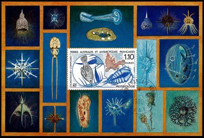 1990 - T.A.A.F. carte maximum n� 148 - La protistologie (�tude des �tres vivants unicellulaires, tels l\'amibe et la param�cie)