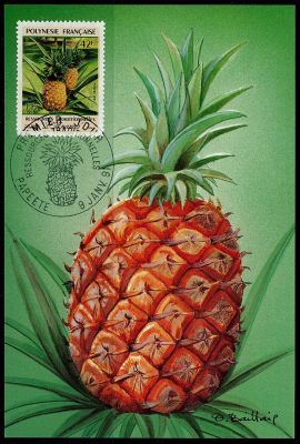 1991 - Polyn�sie Fran�aise cartes maximum n� 374-375 - Fruit - L\'ananas