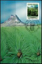 1991 - Polynésie Française cartes maximum n° 374-375 - Fruit - L\'ananas