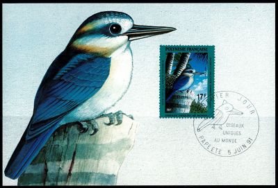 1991 - Polyn�sie Fran�aise cartes maximum n� 383/384 - Oiseaux uniques au monde