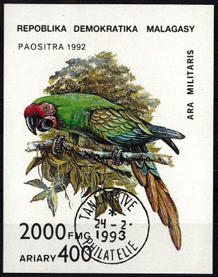 1992 - Madagascar bloc n� 149 - Oiseaux - Perroquets
