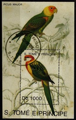 1992 - Saint Tom� et Principe BF n� 121 - Oiseaux 