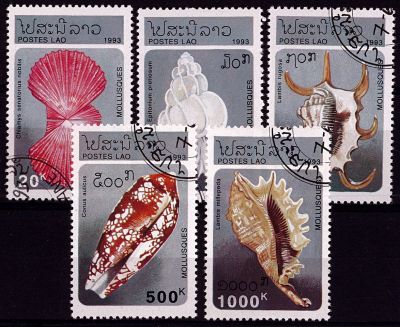 1993 - Laos (RDP) timbres n� 1086-1090 - Faune - Les mollusques