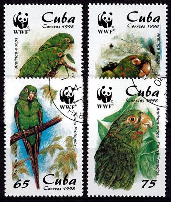 1998 - Cuba n� 3749/3752 - Oiseaux - WWF