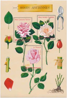 1999 - France BF_24 Congr�s mondial de roses anciennes