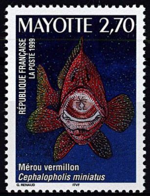 1999 - Mayotte Timbre n� 71/74 - Faune - Poissons du lagon