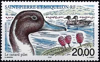 1999 - Saint Pierre et Miquelon A79 - Les oiseaux migrateurs