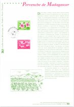 2000 - France 3306 - Flore. Pervenche de Madagascar (Document Philatélique)