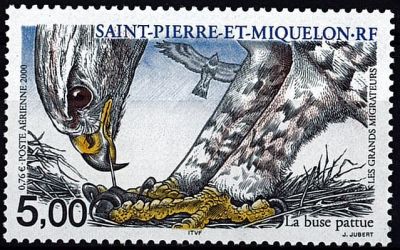2000 - Saint Pierre et Miquelon A80 - Oiseaux, les grands migrateurs