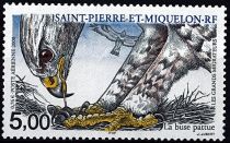 2000 - Saint Pierre et Miquelon A80 - Oiseaux, les grands migrateurs