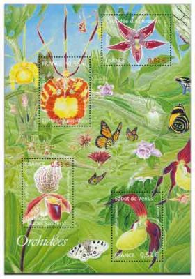 2005 - France BF_81 Nature - Orchid�es