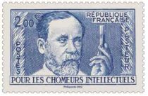 2022 - Timbre France Louis Pasteur - (5599_56004)