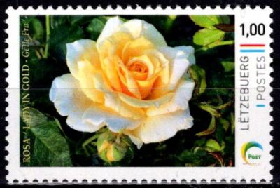 2023 - Luxembourg Timbre Personnalis� - Fleur - Rose, Lady in Gold