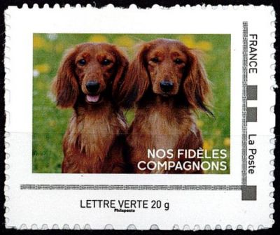 2024 - France ID Timbre - Teckel � poils longs