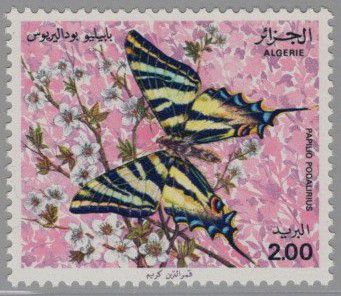 Alg�rie 740_43 Papillons 1981