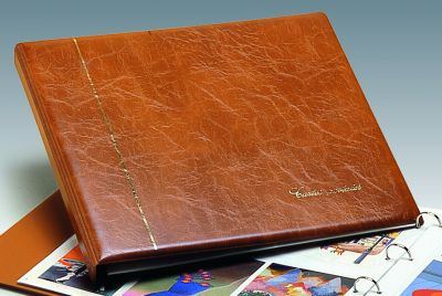 Reliure Luxe Cartes Postales brun clair SAFE