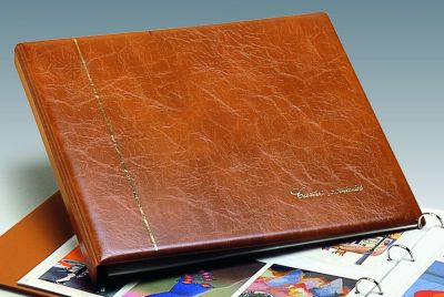 Reliure Luxe Cartes Postales brun clair SAFE