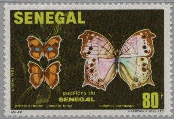 S�n�gal 566/569 Papillons 1982